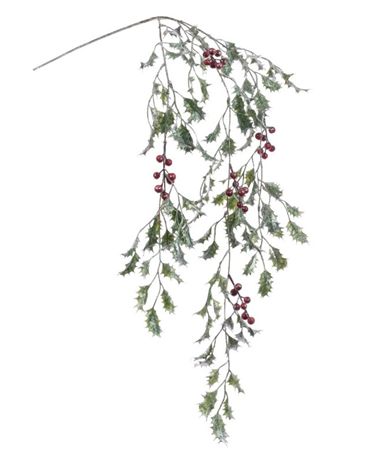 Holly Sparkle Varigated 114cm