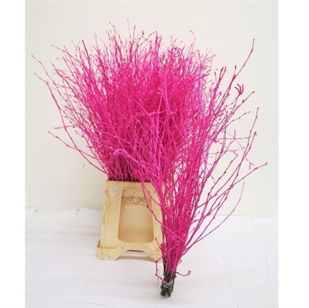 Berk Cerise Glitter 120cm