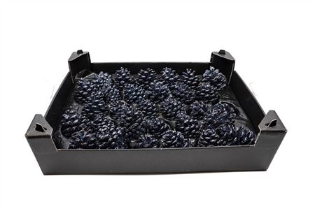 Pinecone 6-8cm 30 Pieces Black