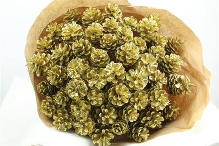 Dried Pine Cone Gold Glitter