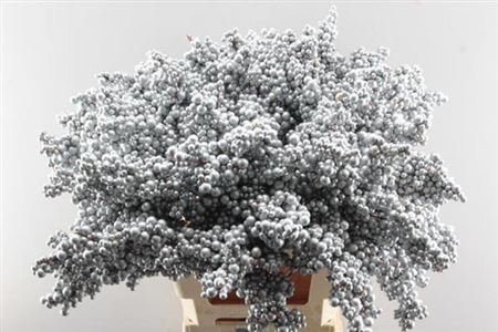 Peper Bes Op Stok Zilver