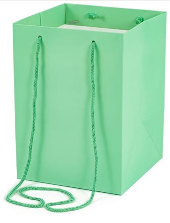 Bouquet Bag Eucalyptus 25cm