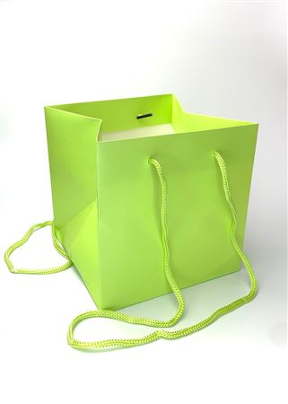 Multipurpose/Bouquet Bag Lime 17cm