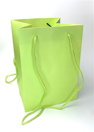 Bouquet Bag Lime 25cm