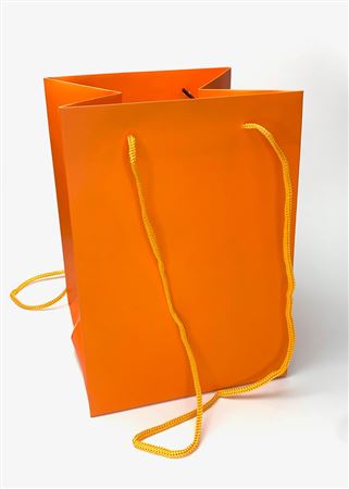 Multipurpose/Bouquet Bag Orange 25cm