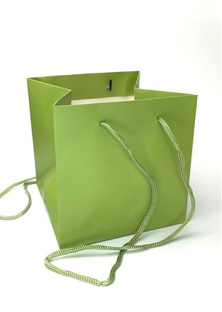 Multipurpose/Bouquet Bag Sage 17cm