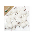 Apples Frosted On Wire 3cm X20 White