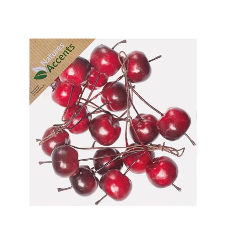 Apples On Wire Red X20