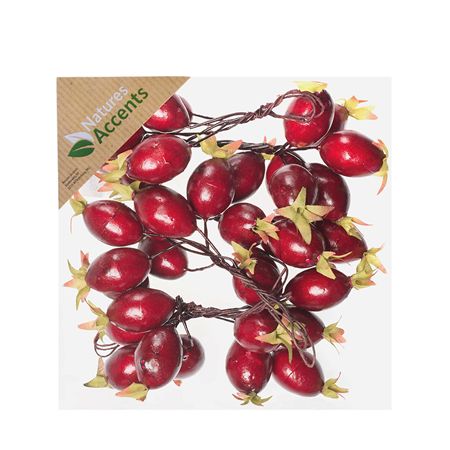 Rose Hips On Wire Red 4cm X36