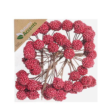 Raspberries On Wire Red X64