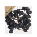 Blackberries On Wire Black X64