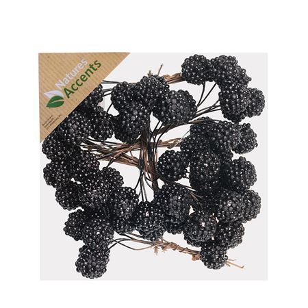 Blackberries On Wire Black X64