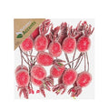 Rose Hips Frosted On Wire Red 5cm X20