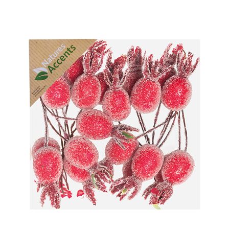 Rose Hips Frosted On Wire Red 5cm X20