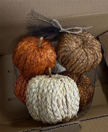 Pumpkins In Net 10cm X6