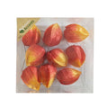 Lantern Fruit On Wire Orange 4cm  (PACK OF 2)