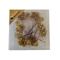 Pinecone On Wire X30 Gold 3cm  (PACK OF 2)
