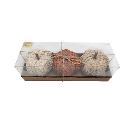 Pumpkins Plaited 10cm X3