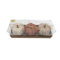 Pumpkins Plaited 10cm X3