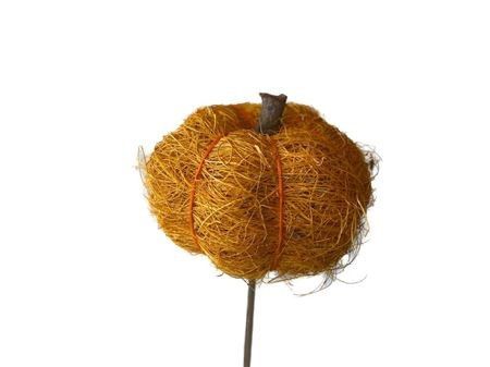 Pick Sisal 6cm Pumpkin 50cm Yellow (Pack of 25 pieces)