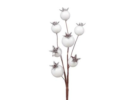 Wired Berry Bundle White 18cm X6