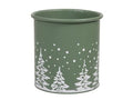 Metal Pot Green 13x14cm