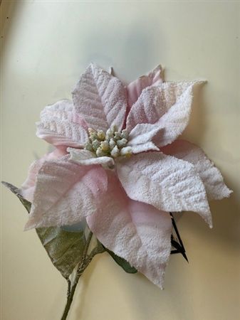 Poinsettia Pink Frosted 65cm