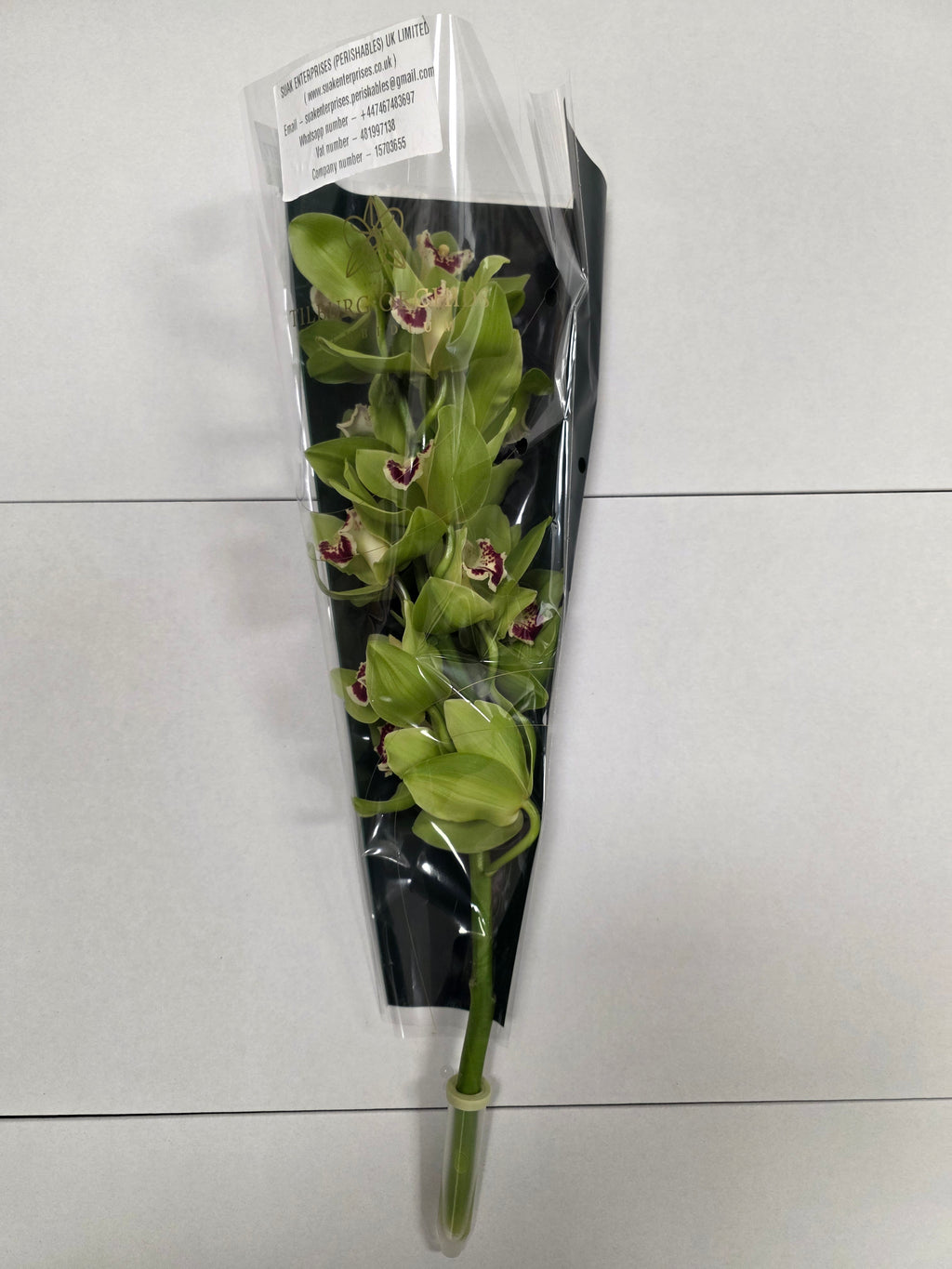 Farm Fresh Orchid/Cymbidium Tak Noah(Bunch of 2 stems, Length 50cm)