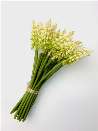 Artificial Muscari White