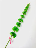 Artificial Molucella Green (PACK OF 2)