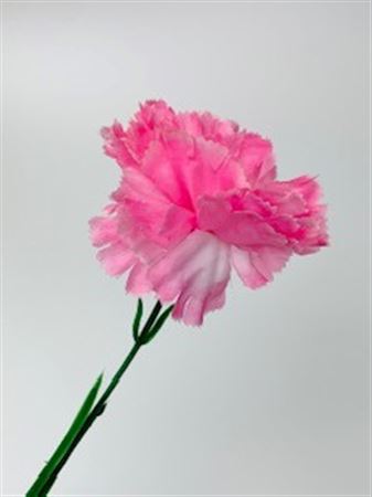 Artificial Carnation Boxed Pink 72 Stems