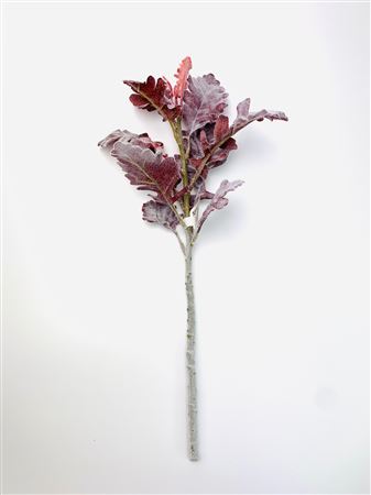 Artifical Dusty Miller Burgundy (PACK OF 3)