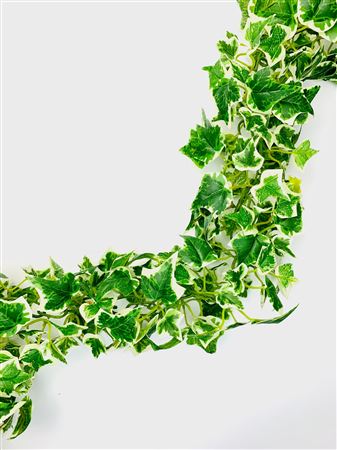 Artificial Garland Mini Ivy Chain Varigated