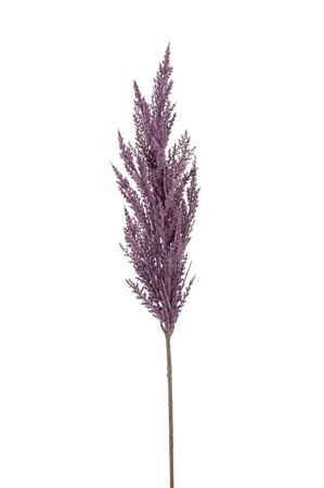 Artifical Pampas Grass Purple
