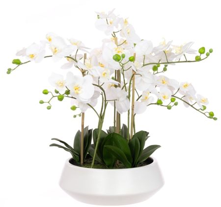 Artificial Orchid In Contemporary Pot White 60cm