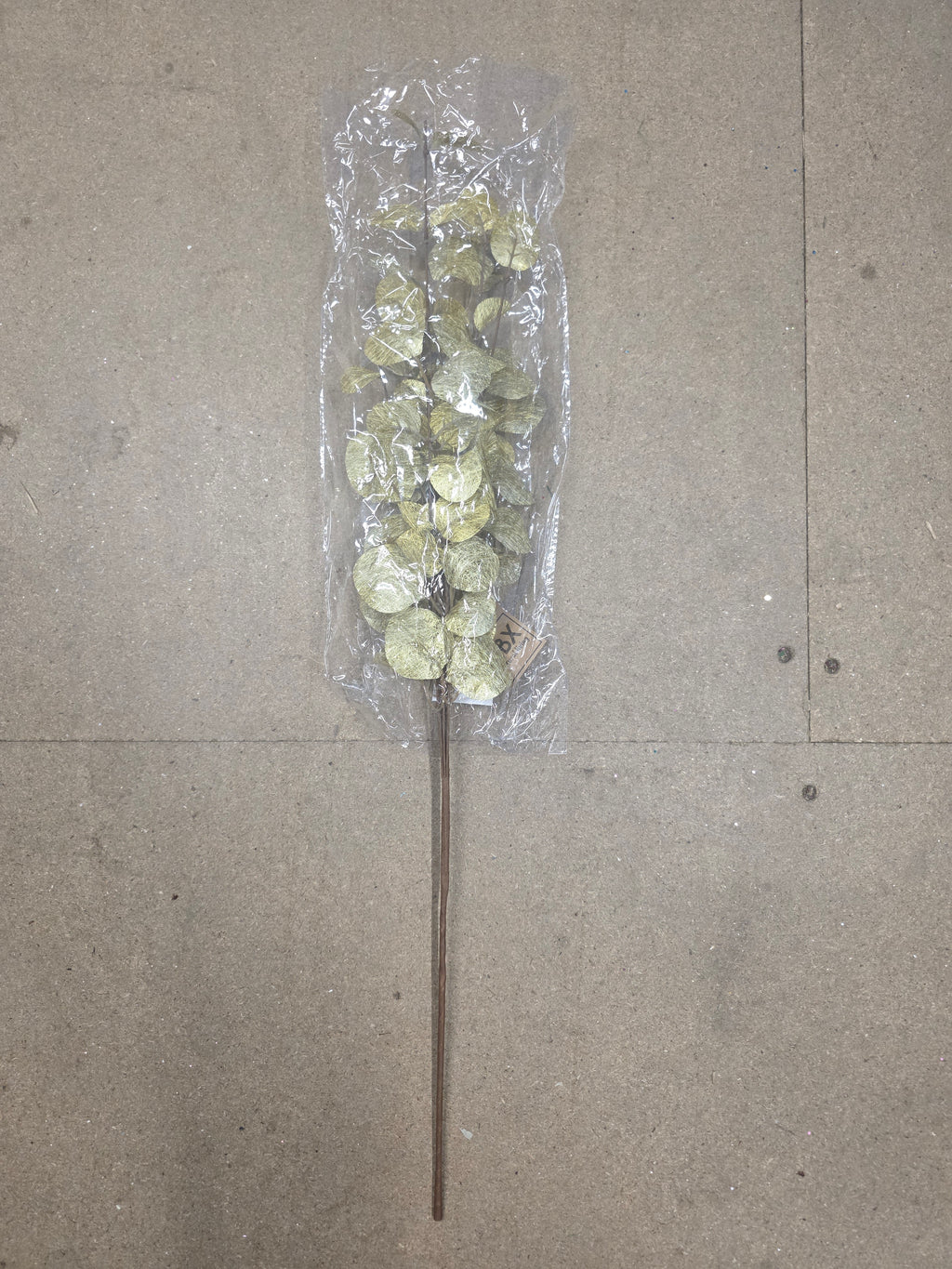 Branch Euca Cinerea Gold 40cm  (PACK OF 2)