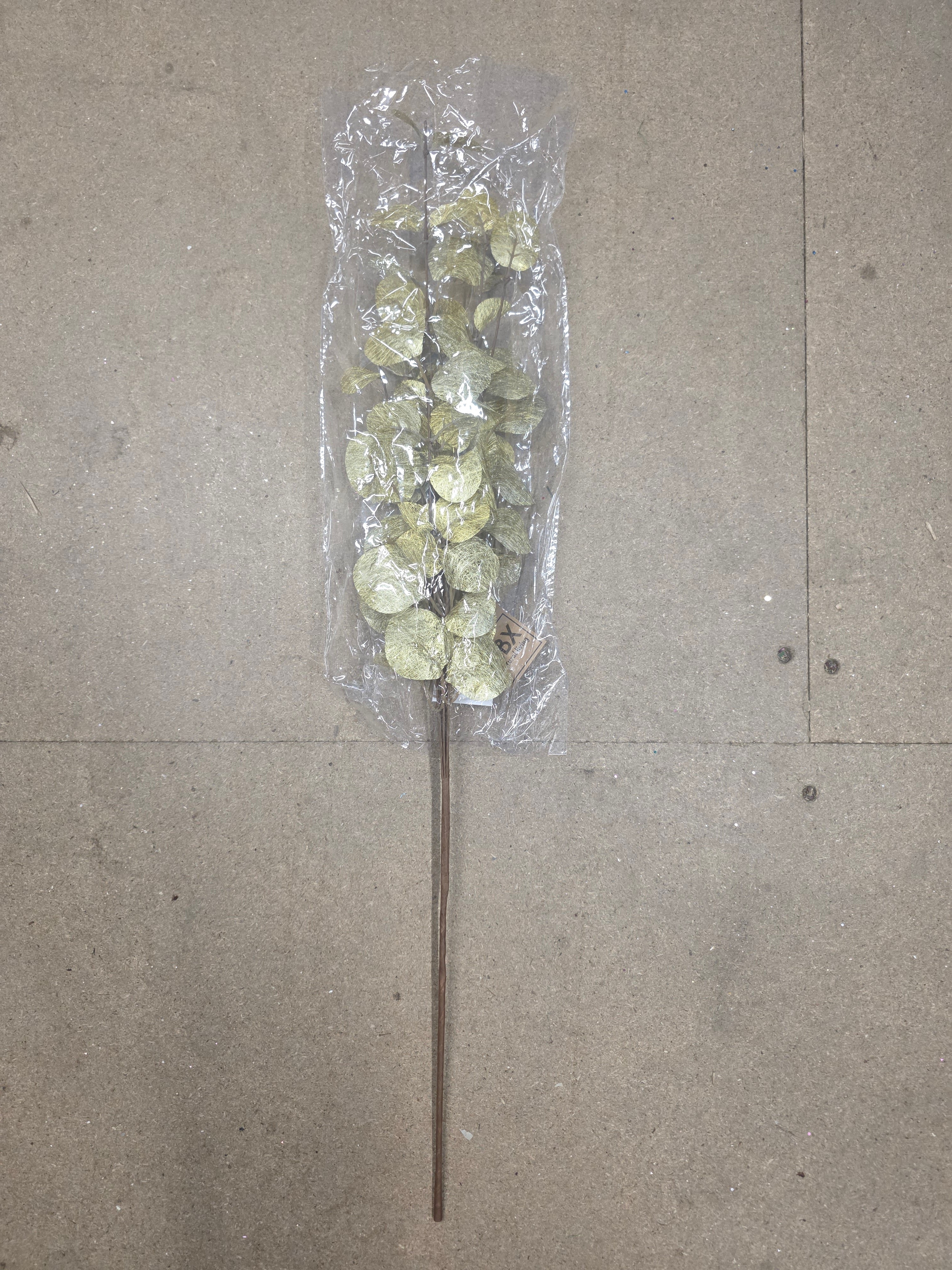Branch Euca Cinerea Gold 40cm  (PACK OF 2)