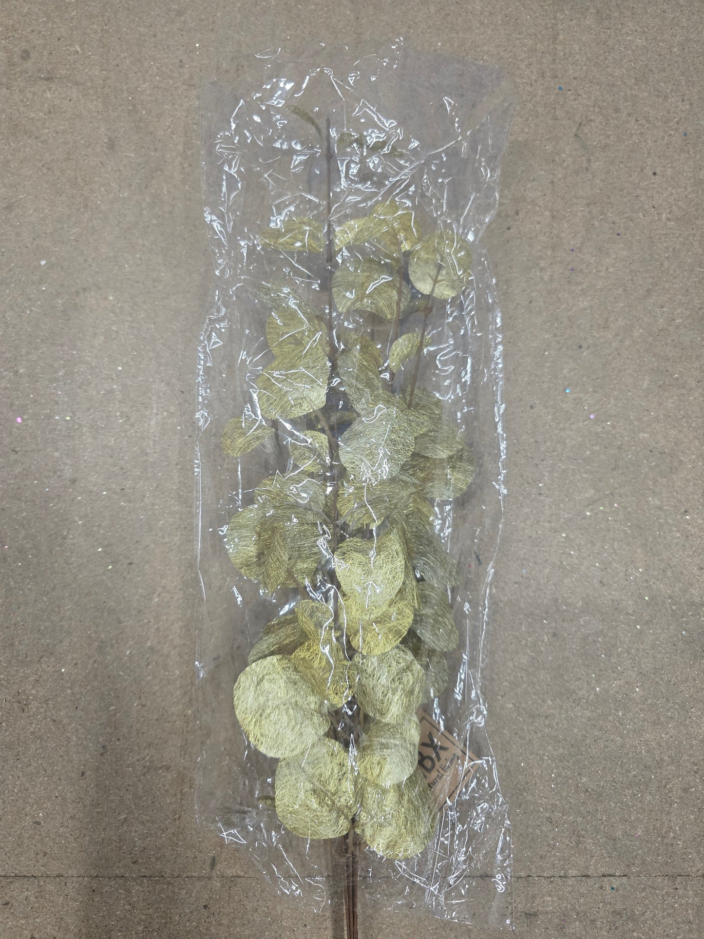 Branch Euca Cinerea Gold 40cm