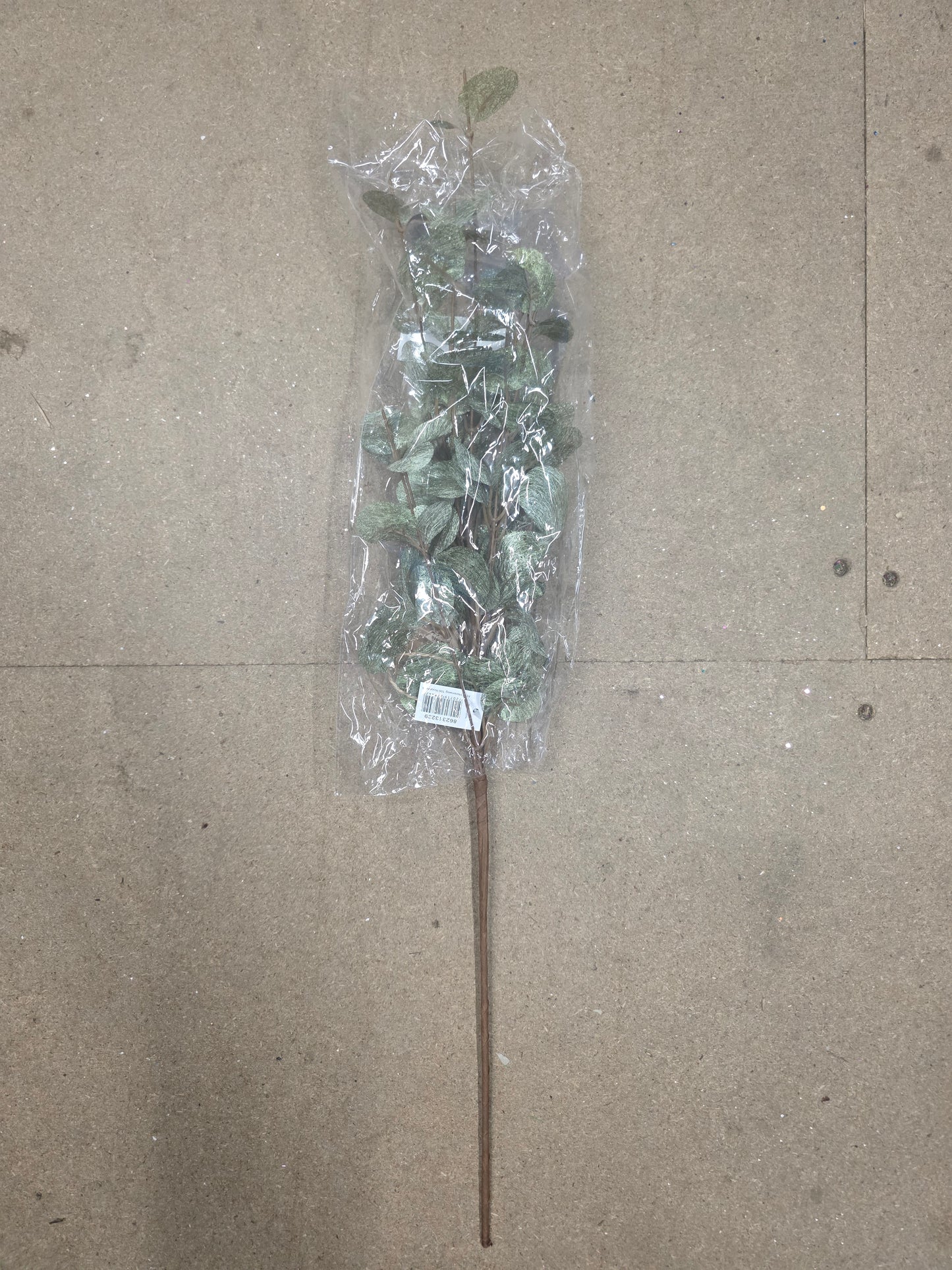 Branch Euca Cinerea Green 40cm