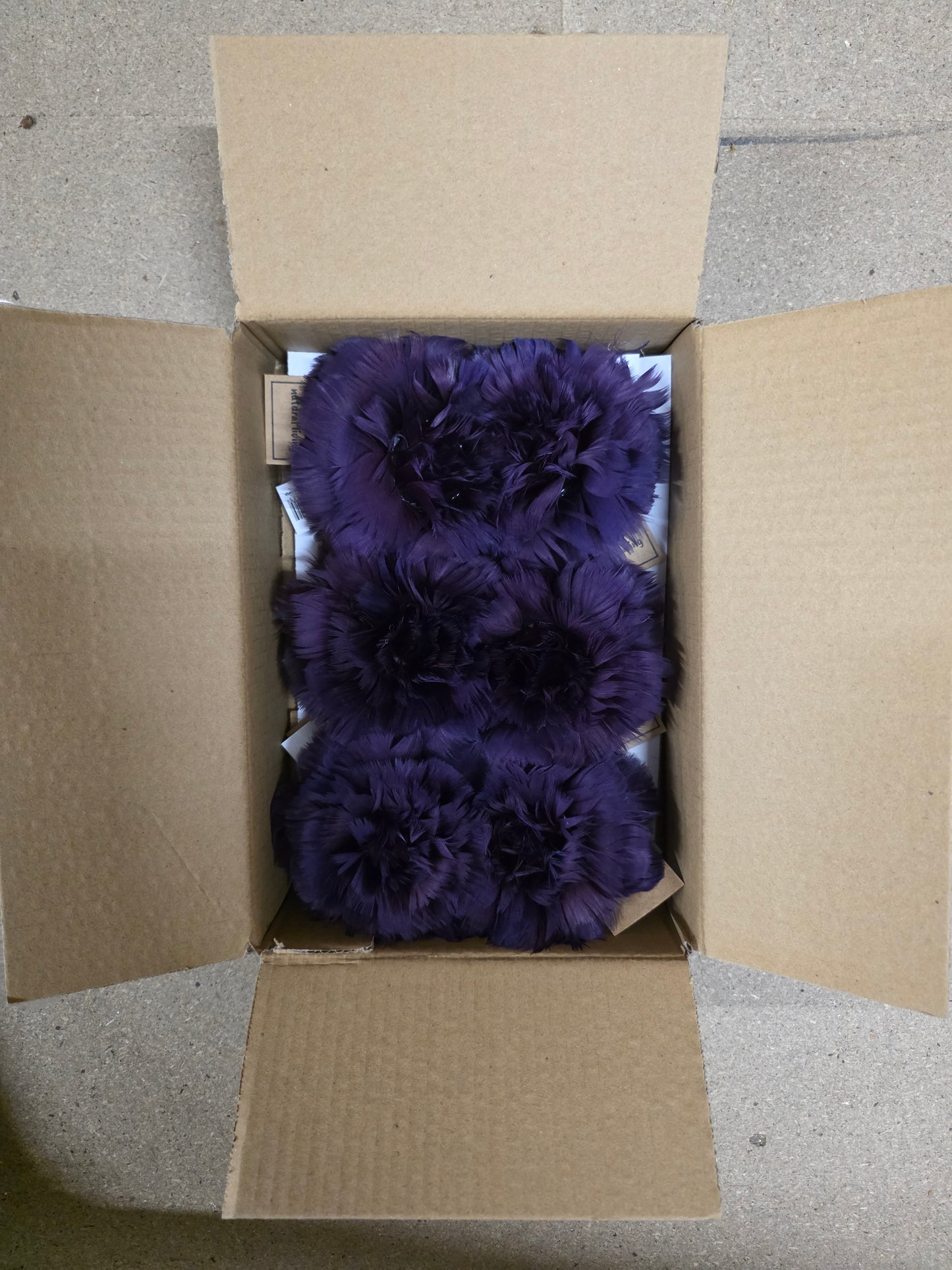 Feather Rose Clip Maroon 11cm X6