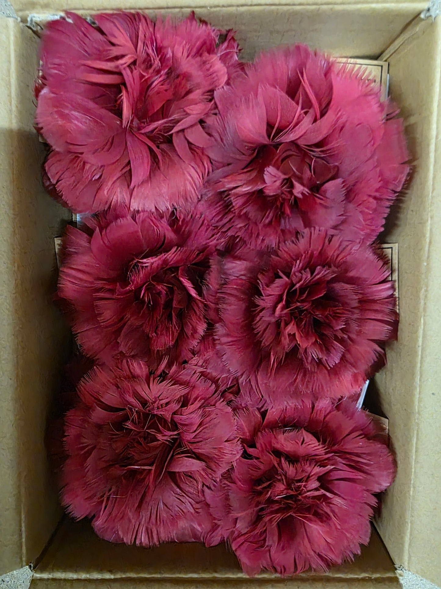 Feather Rose Clip Red 11cm X6