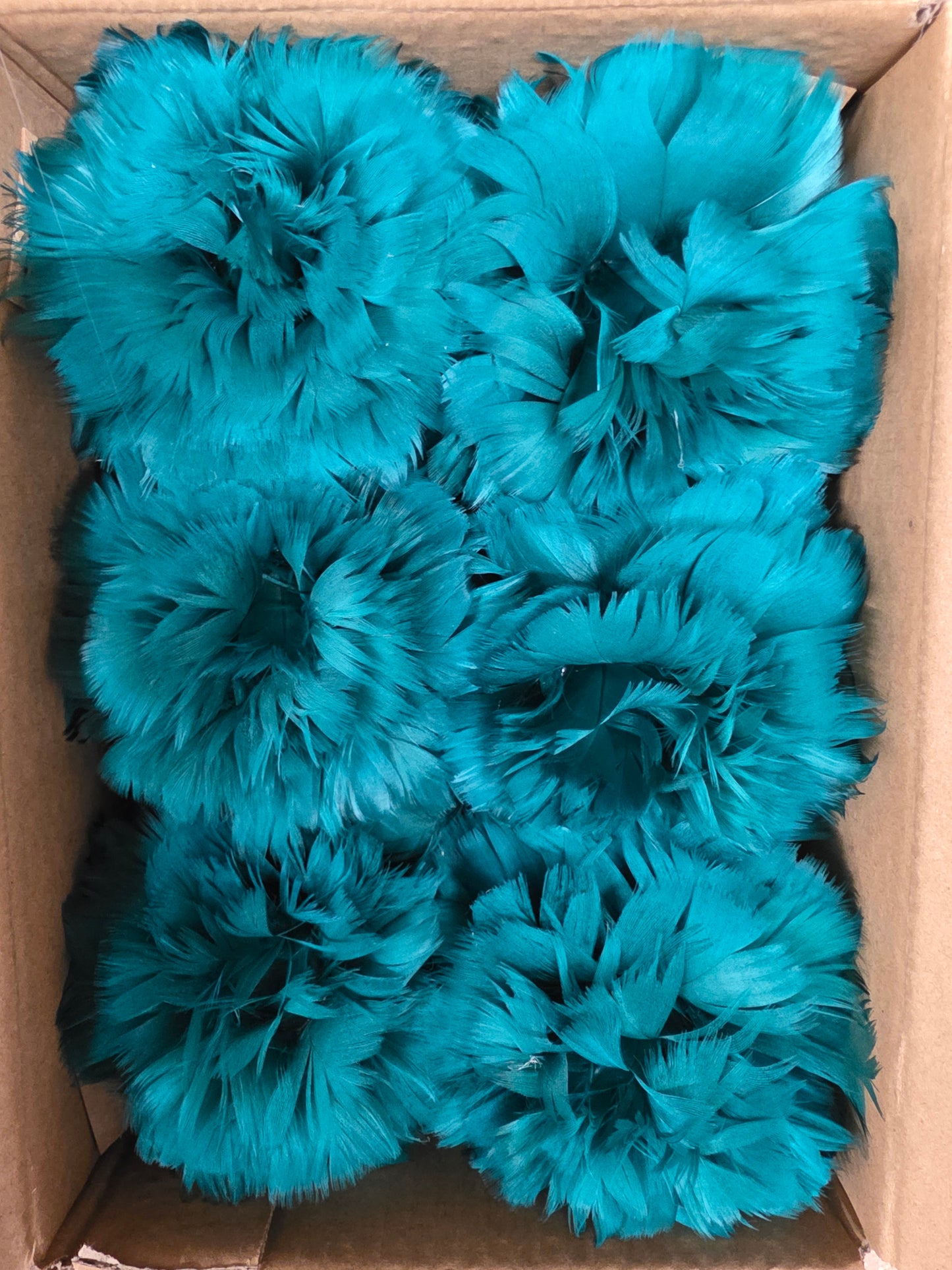 Feather Rose Clip Teal 11cm X6