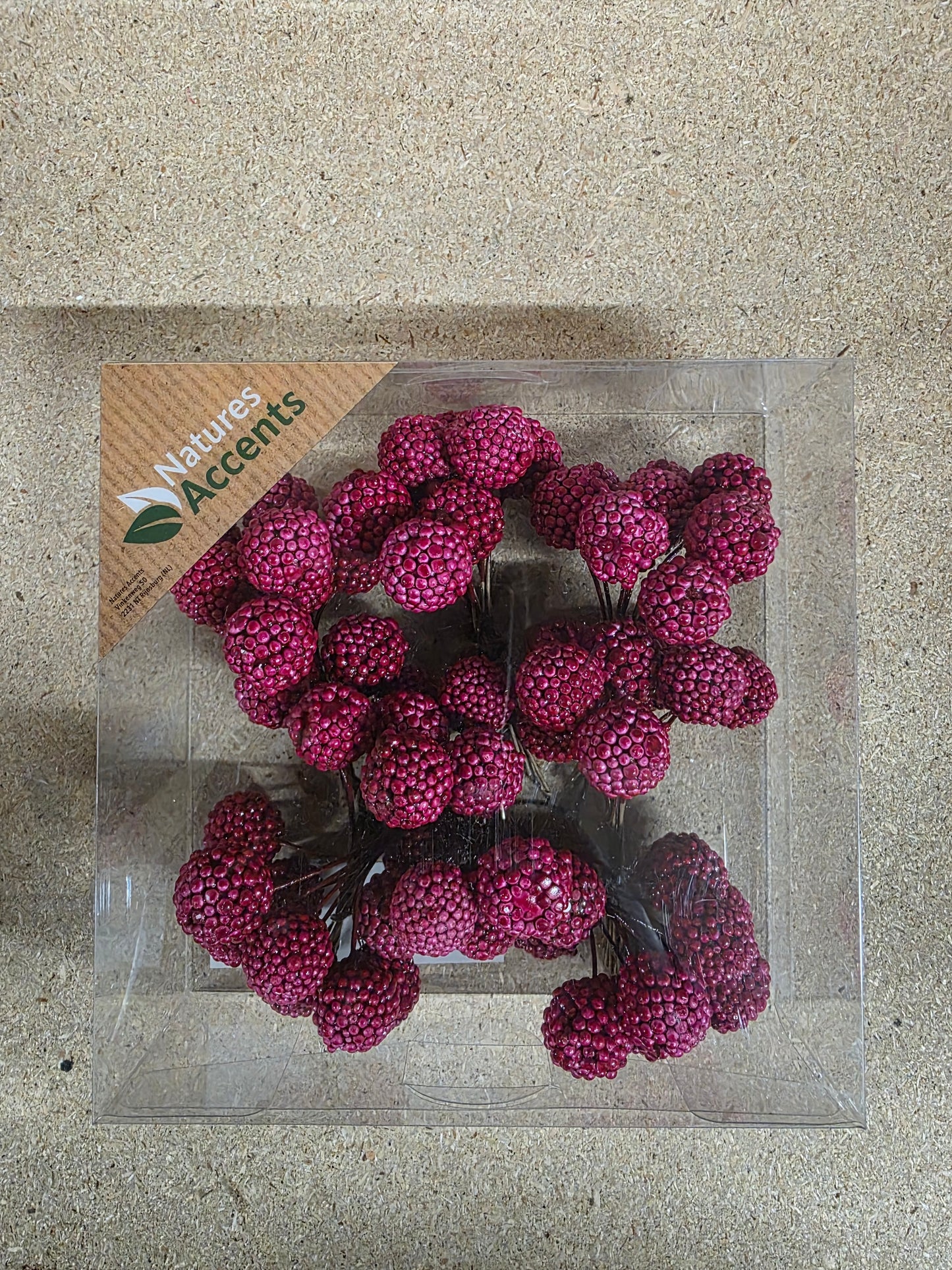 Raspberries On Wire Red X64