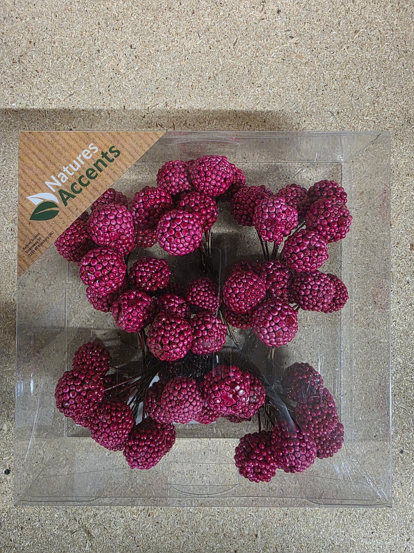 Raspberries On Wire Red X64