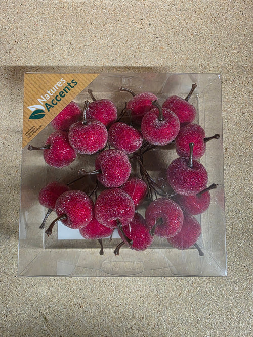 Apples On Wire In Box Red 6cm X6