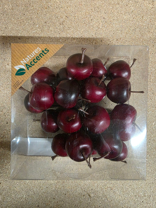 Apples On Wire Red X20