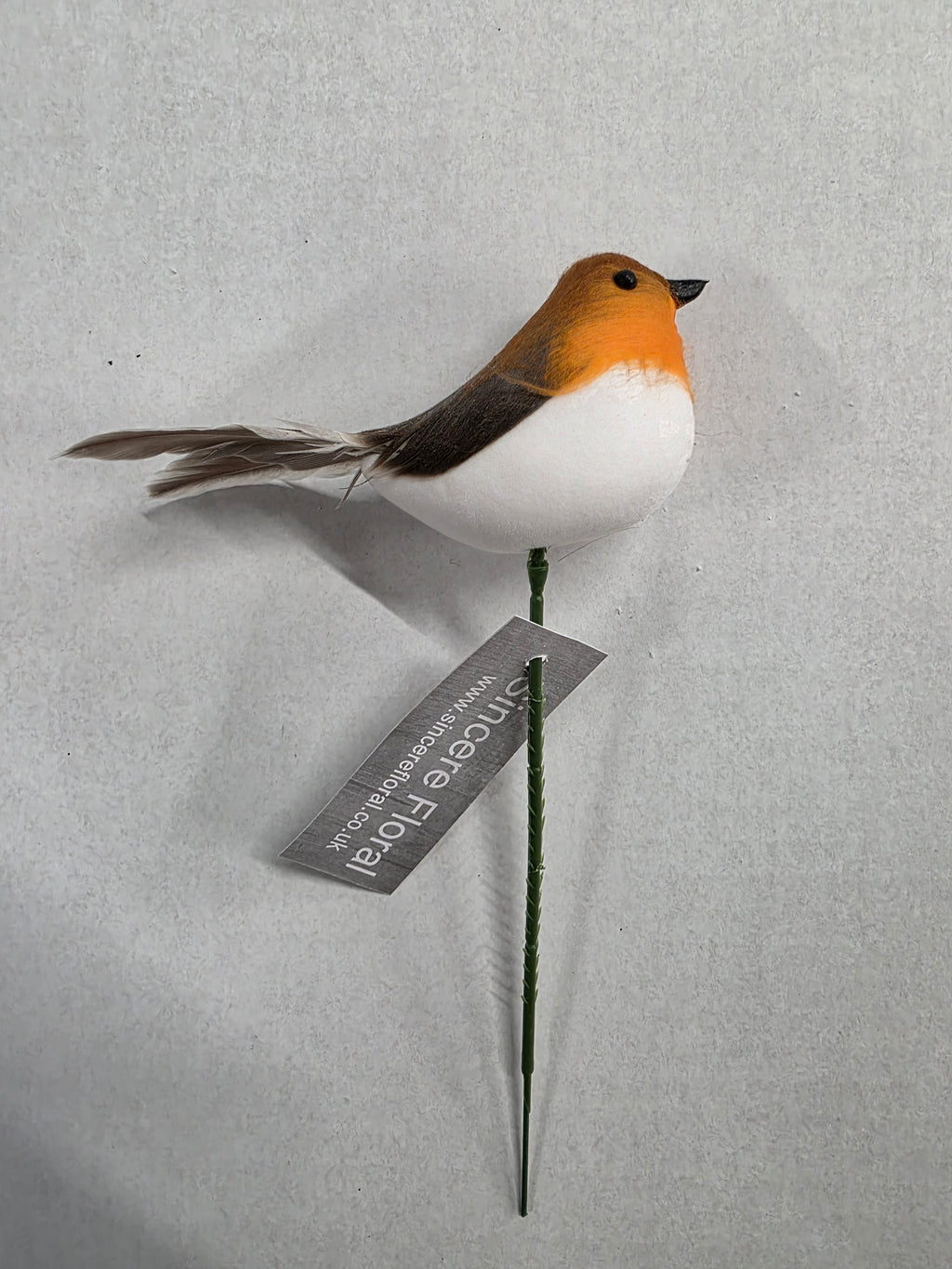 Robin on Wire X12
