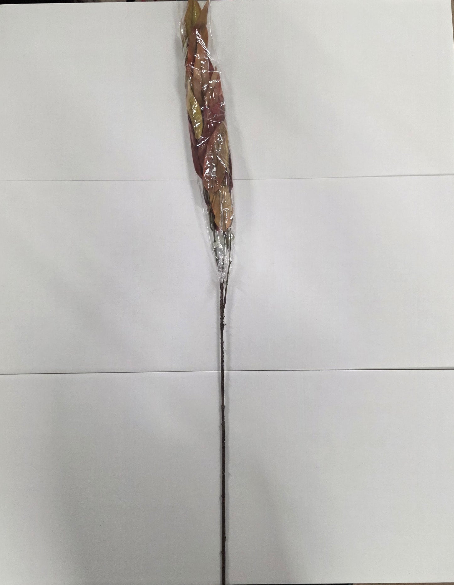 Autumn Eucalyptus Burgundy