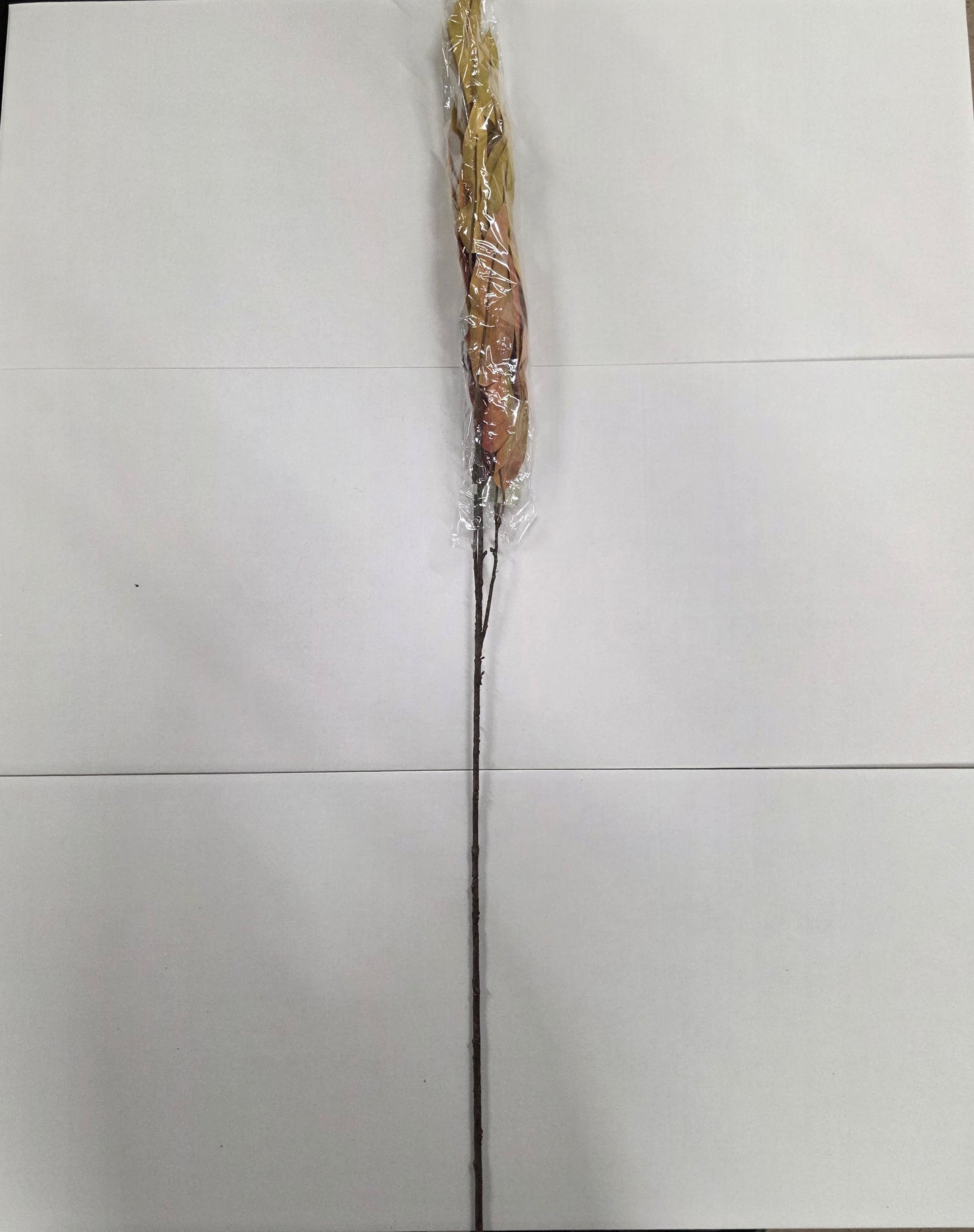 Autumn Eucalyptus Green And Brown