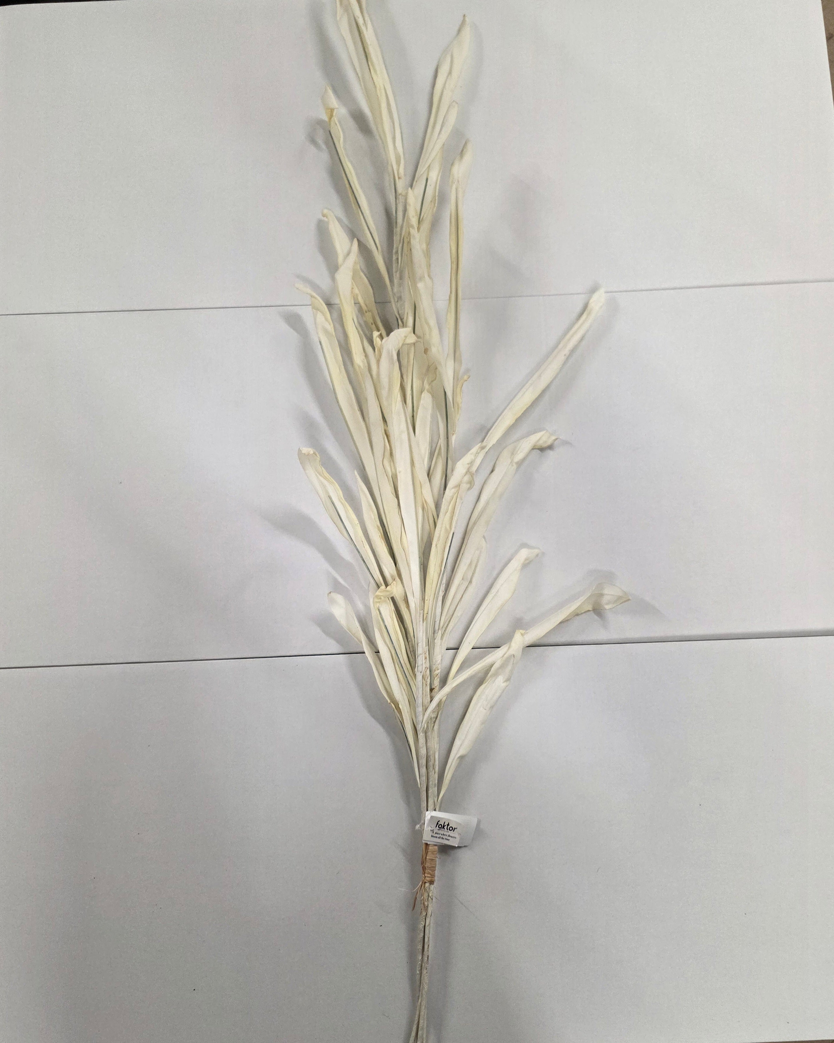 Artificial Autumn Reed Cream 123cm X4